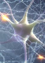 Emotional neurons deep in the human brain